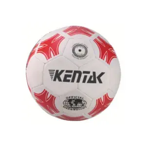 PELOTA DE CUERO SINTÉTICO Nº5