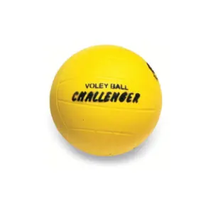 PELOTA DE VOLLEY DIDÁCTICA